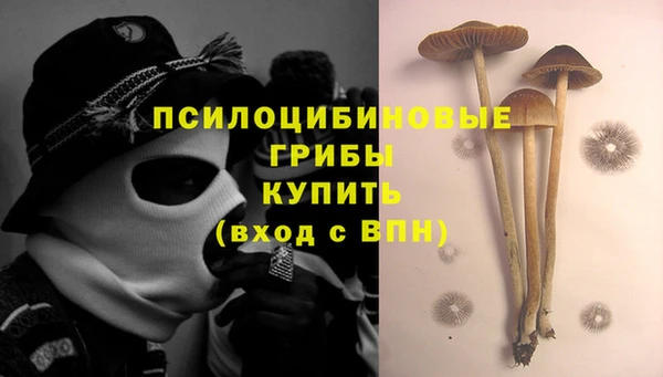 крисы Липки