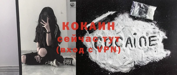 крисы Липки