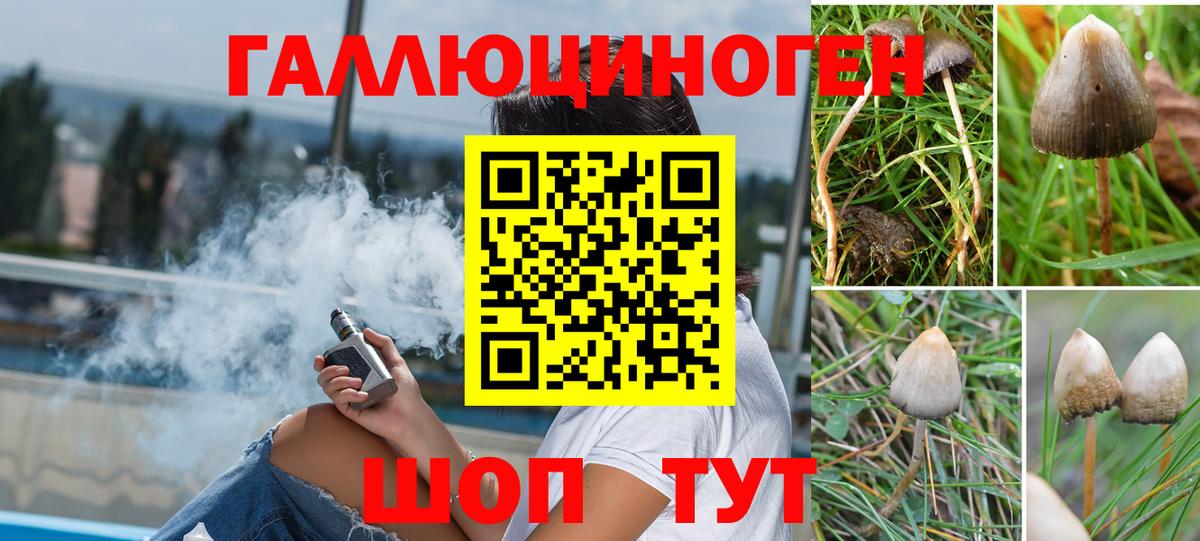 Галлюциногенные грибы мухоморы  Вход с VPN  Новокузнецк 